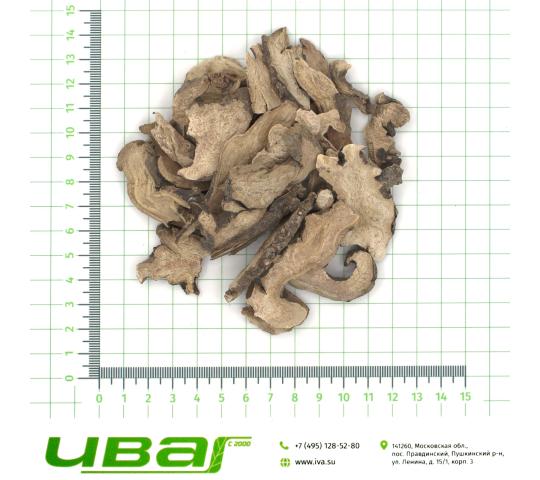 Фото 3 Пион корень резаный, г.Пушкино 2026