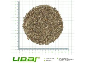 Подорожник лист резаный