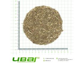 Полынь трава резаная