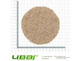 Псиллиум (Подорожник шелуха семян)