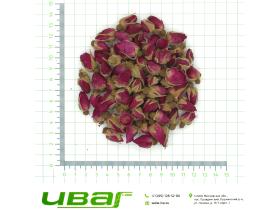 Роза бутоны целые