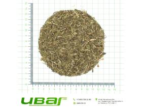 Ромашка трава резаная