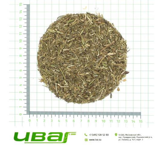 Фото 2 Ромашка трава резаная, г.Пушкино 2026