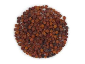 Рябина плоды красные Россия