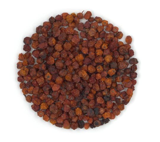 Фото 3 Рябина плоды красные Россия, г.Пушкино 2026