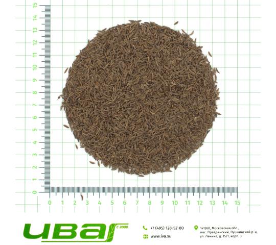 Фото 7 Тмин семена (экстра) Финляндия, г.Пушкино 2026