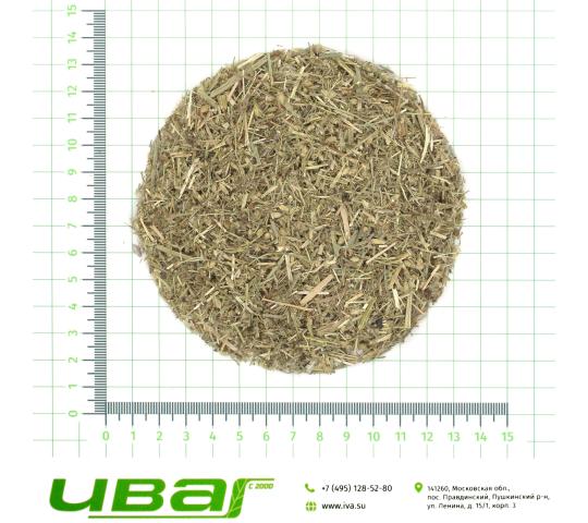 Фото 8 Тысячелистник резаный, г.Пушкино 2026