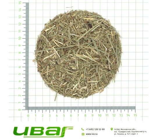 Фото 9 Тысячелистник резаный, г.Пушкино 2026