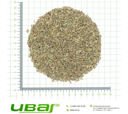 Фото 4 Фенхель плоды в ассортименте, г.Пушкино 2026