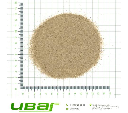 Фото 4 Цикорий корень порошок, г.Пушкино 2026