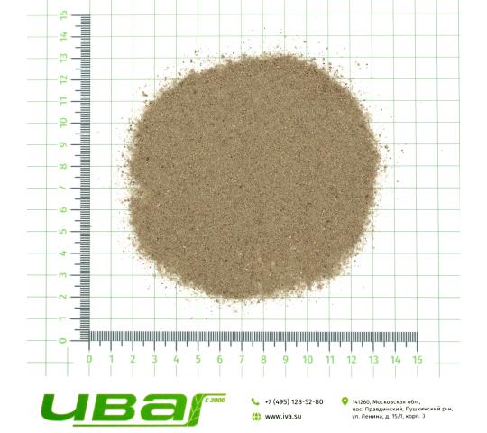 Фото 5 Цикорий корень порошок, г.Пушкино 2026