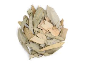 Эвкалипта лист