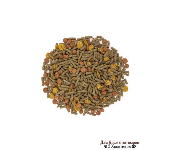 Фото опубликовано: ООО "ЗООЭКСПЕРТ", ИНН 7806603455, zooexspert.ru  ©