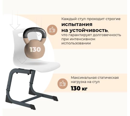 Фото 5 Учебный стул «Альфа SHT-S-TN22/5-7», г.Калуга 2026