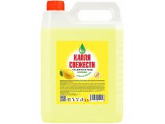 Фото 1 Средство для мытья посуды лимон/яблоко 5000мл, г.Санкт-Петербург 2026