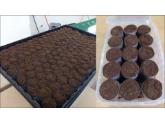 Фото 1 Торфяные пробки «САФИТ АГРО», г.Москва 2026