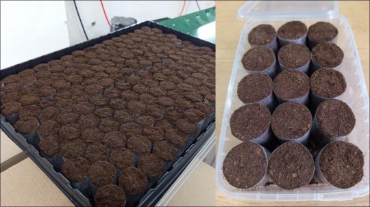 Фото опубликовано: ООО "САФИТ-БИОХИМ", ИНН 5042063570, torfoprobka.ru  ©