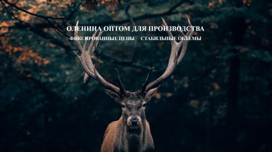 Фото 2 ОЛЕНИНА ОПТОМ ДЛЯ ПРОИЗВОДСТВ, г.Санкт-Петербург