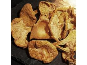 Лисички сушёные (Cantharellus cibarius)