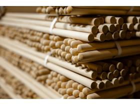 Черенки березовые в ассортименте