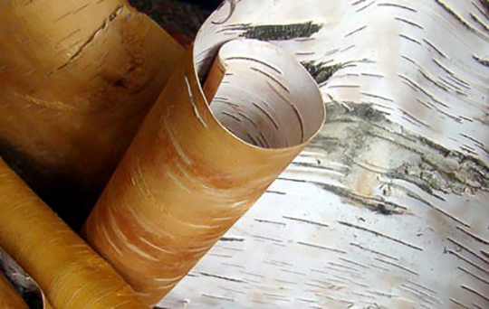 Фото 3 Производитель БАД «ИП АРДЫШЕВ И. И.», г.Киров