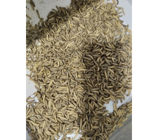 Фото 6 Производитель уксусов «ИП Кунц К.С.», г.Барнаул