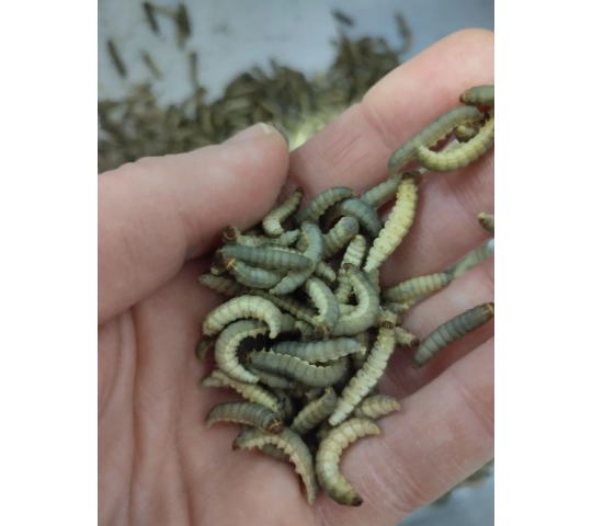 Фото 7 Производитель уксусов «ИП Кунц К.С.», г.Барнаул