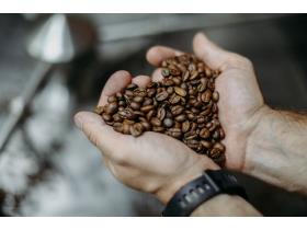 Производитель сублимированных фруктов «Sublimini»