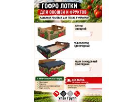 ООО «Упак Групп»