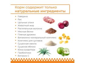 Сухой корм для взрослых собак feeldog