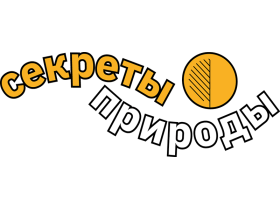 ООО Секреты природы - Производитель льняной каши