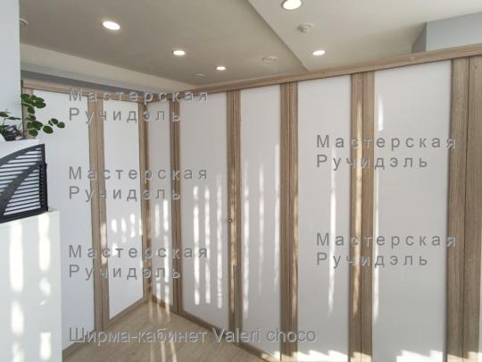 Фото 4 Мобильная ширма-кабинет для зонирования, г.Москва 2026