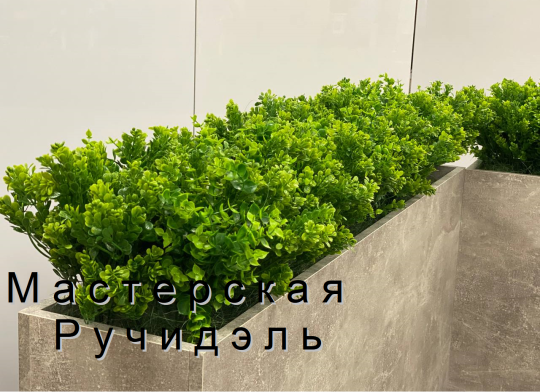 Фото 10 Растения искусственные 03.   "Зелень самшита" Ручидэль 2026