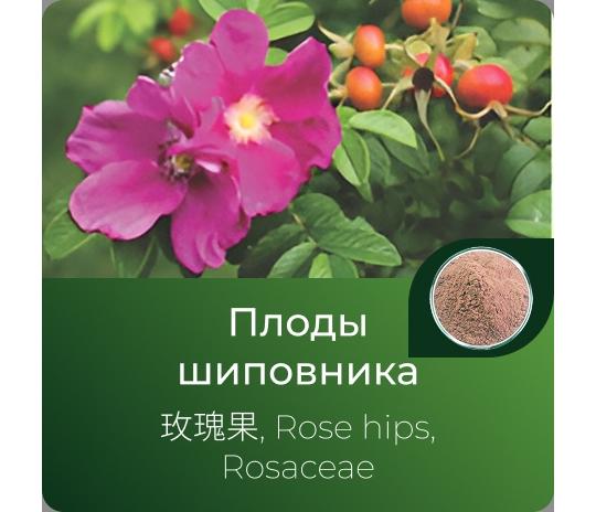 Фото опубликовано: ООО "ЭКСТРАКТЫ АЛТАЯ", ИНН 2225132698, altai-extracts.ru  ©