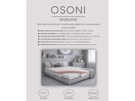 Производственная компания «Osoni»