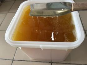 Производитель меда «Алтайский урожай»