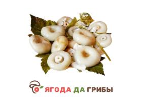 ЯгодаДаГрибы.рф