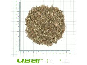 Спорыш трава резаная