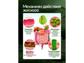 Ростки пшеницы (50 штук)