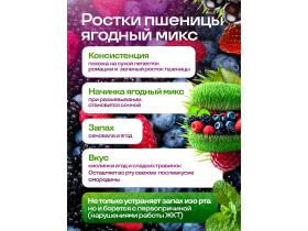 Сок ростков пшеницы замороженный, 15 порций