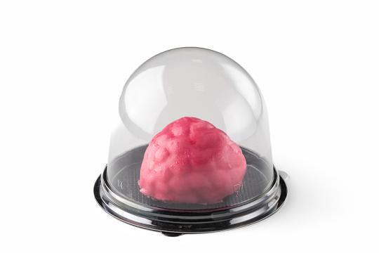 Фото опубликовано: ООО "ФРОСТФУД", ИНН 5259158428, frozen-cake.ru © Фото опубликовано: ООО "ФРОСТФУД", ИНН 5259158428, frozen-cake.ru ©
