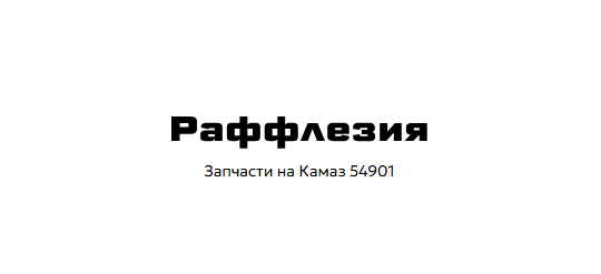Фото опубликовано: ООО "РАФФЛЕЗИЯ", ИНН 1650341480, zapchasti-kam.ru  ©